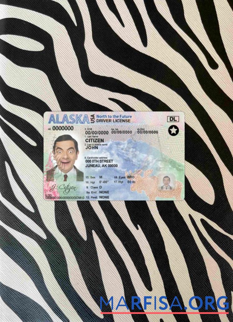 Downloadable USA Alaska DL photolook sample